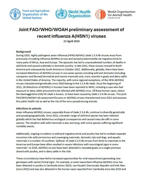 Joint FAO/WHO/WOAH preliminary assessment of recent influenza A(H5N1) viruses