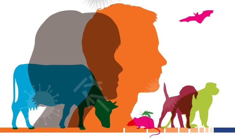 Illustration of humans and animals