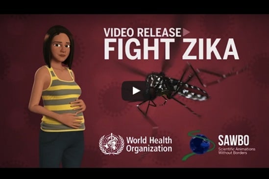 Fight zika illustration