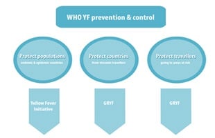 yellow fever prevention and control chart