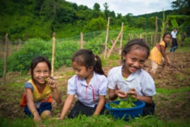 mch_field_visit_phonsaly8